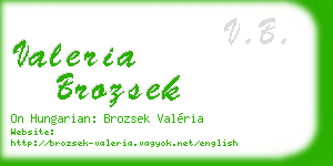 valeria brozsek business card